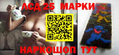 индика Камышлов
