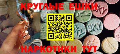 индика Камышлов