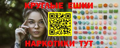 индика Камышлов