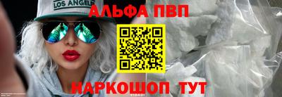 индика Камышлов