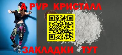 индика Камышлов