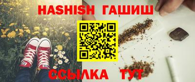 индика Камышлов
