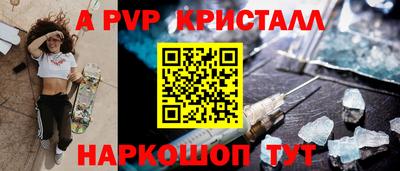 индика Камышлов