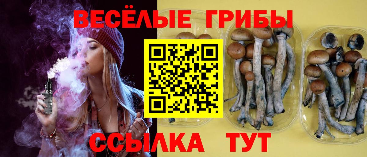 Псилоцибиновые грибы GOLDEN TEACHER Кумертау